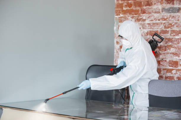 Best Comprehensive Air Testing for Mold Contaminants  in Jasper, GA