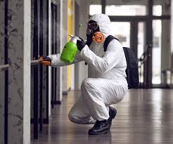 Best Asbestos and Lead Testing During Mold Inspection  in Jasper, GA